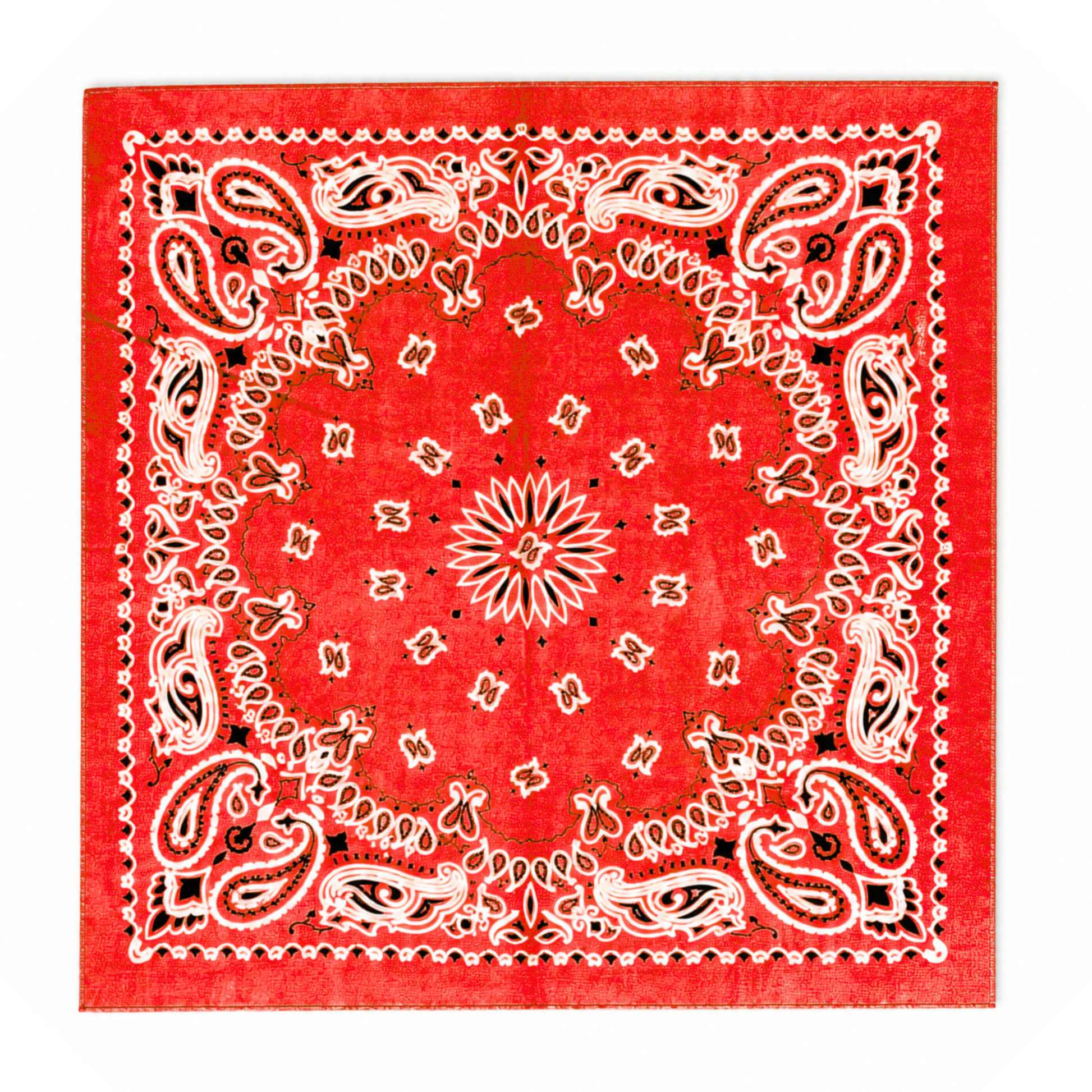 Red Paisley Cotton Bandana